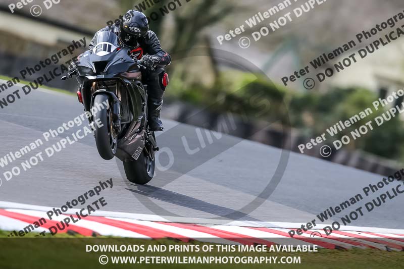 Oulton Park 21st March 2020;PJ Motorsport Photography 2020;anglesey;brands hatch;cadwell park;croft;donington park;enduro digital images;event digital images;eventdigitalimages;mallory;no limits;oulton park;peter wileman photography;racing digital images;silverstone;snetterton;trackday digital images;trackday photos;vmcc banbury run;welsh 2 day enduro